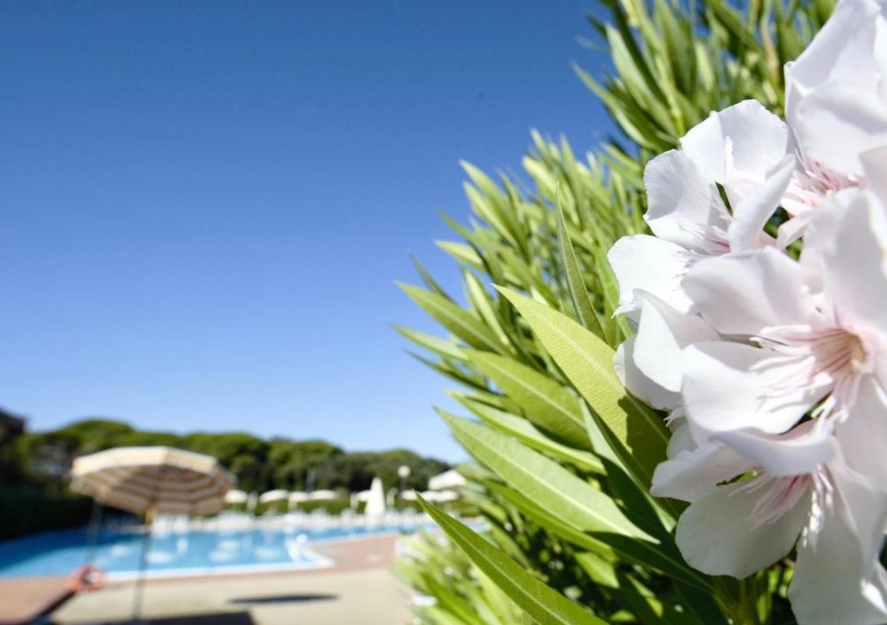 Isa-Apartments 4 Beds In Residence With Swimming-Pool In San Vincenzo, Just 600 Meters From The Sea Exterior photo